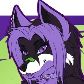 Feyyore being a purple and black fox.